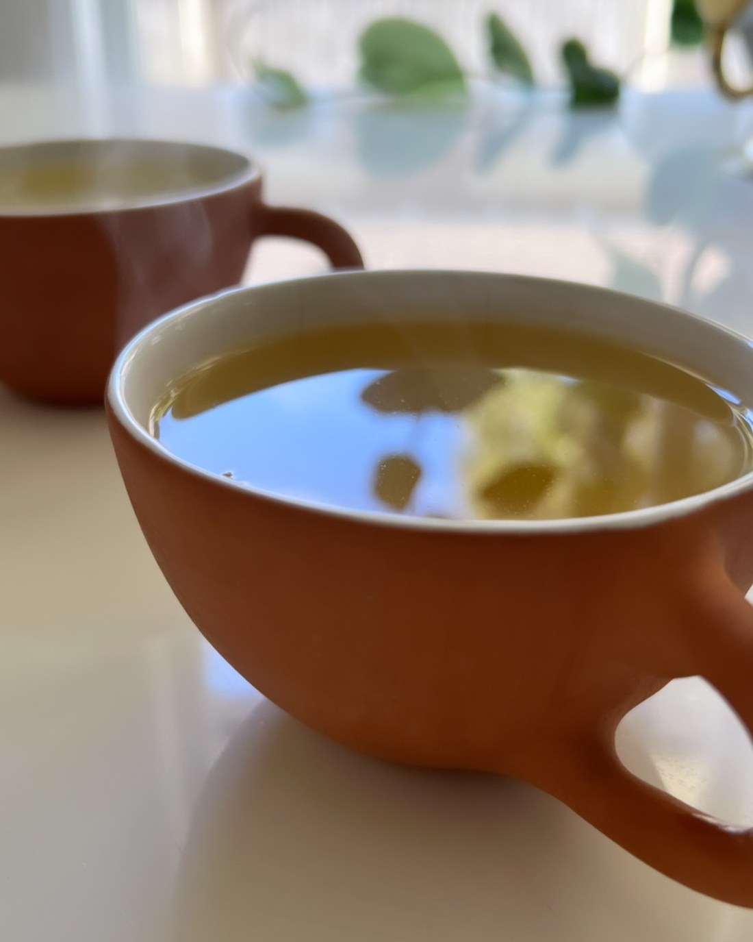 Two cups of herbal tea by the window